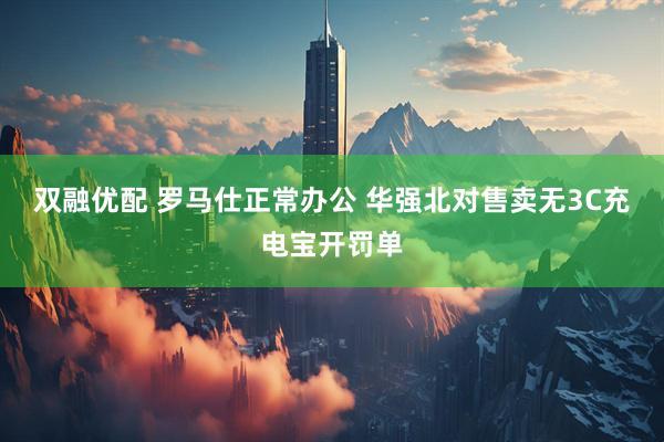 双融优配 罗马仕正常办公 华强北对售卖无3C充电宝开罚单