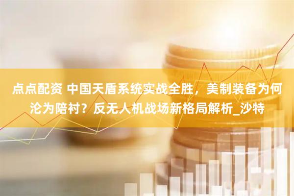 点点配资 中国天盾系统实战全胜，美制装备为何沦为陪衬？反无人机战场新格局解析_沙特