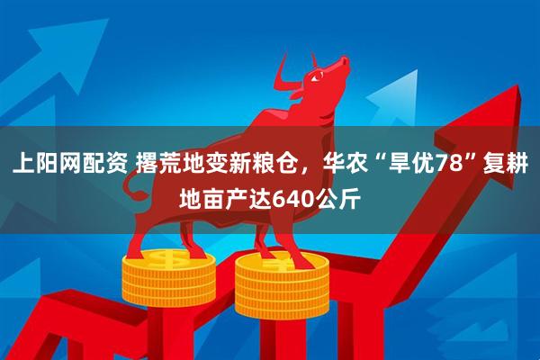 上阳网配资 撂荒地变新粮仓，华农“旱优78”复耕地亩产达640公斤