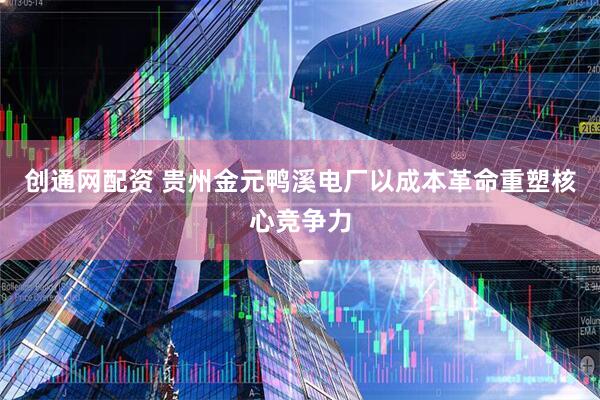 创通网配资 贵州金元鸭溪电厂以成本革命重塑核心竞争力